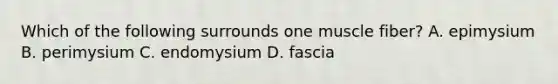 Which of the following surrounds one muscle fiber? A. epimysium B. perimysium C. endomysium D. fascia