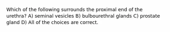 Which of the following surrounds the proximal end of the urethra? A) seminal vesicles B) bulbourethral glands C) prostate gland D) All of the choices are correct.