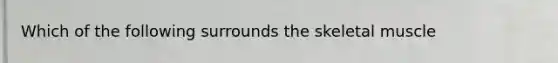Which of the following surrounds the skeletal muscle