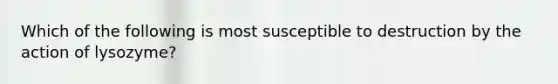 Which of the following is most susceptible to destruction by the action of lysozyme?