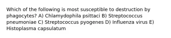 Which of the following is most susceptible to destruction by phagocytes? A) Chlamydophila psittaci B) Streptococcus pneumoniae C) Streptococcus pyogenes D) Influenza virus E) Histoplasma capsulatum