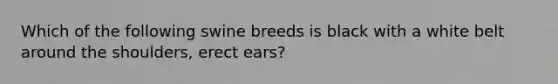 Which of the following swine breeds is black with a white belt around the shoulders, erect ears?