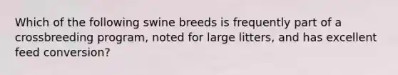 Which of the following swine breeds is frequently part of a crossbreeding program, noted for large litters, and has excellent feed conversion?