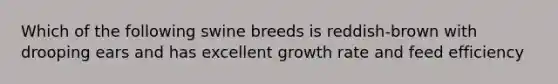 Which of the following swine breeds is reddish-brown with drooping ears and has excellent growth rate and feed efficiency