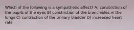 Which of the following is a sympathetic effect? A) constriction of the pupils of the eyes B) constriction of the bronchioles in the lungs C) contraction of the urinary bladder D) increased heart rate