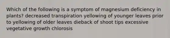 Which of the following is a symptom of magnesium deficiency in plants? decreased transpiration yellowing of younger leaves prior to yellowing of older leaves dieback of shoot tips excessive vegetative growth chlorosis