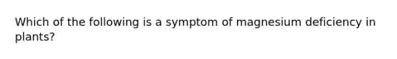 Which of the following is a symptom of magnesium deficiency in plants?