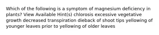 Which of the following is a symptom of magnesium deficiency in plants? View Available Hint(s) chlorosis excessive vegetative growth decreased transpiration dieback of shoot tips yellowing of younger leaves prior to yellowing of older leaves