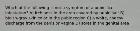 Which of the following is not a symptom of a pubic lice infestation? A) itchiness in the area covered by pubic hair B) bluish-gray skin color in the pubic region C) a white, cheesy discharge from the penis or vagina D) sores in the genital area