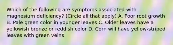 Which of the following are symptoms associated with magnesium deficiency? (Circle all that apply) A. Poor root growth B. Pale green color in younger leaves C. Older leaves have a yellowish bronze or reddish color D. Corn will have yellow-striped leaves with green veins