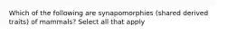 Which of the following are synapomorphies (shared derived traits) of mammals? Select all that apply