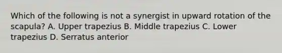 Which of the following is not a synergist in upward rotation of the scapula? A. Upper trapezius B. Middle trapezius C. Lower trapezius D. Serratus anterior