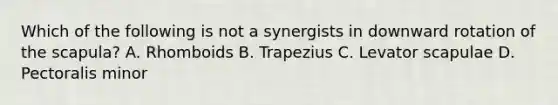 Which of the following is not a synergists in downward rotation of the scapula? A. Rhomboids B. Trapezius C. Levator scapulae D. Pectoralis minor