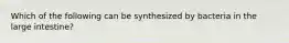 Which of the following can be synthesized by bacteria in the large intestine?