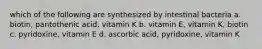 which of the following are synthesized by intestinal bacteria a. biotin, pantothenic acid, vitamin K b. vitamin E, vitamin K, biotin c. pyridoxine, vitamin E d. ascorbic acid, pyridoxine, vitamin K