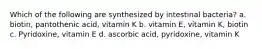 Which of the following are synthesized by intestinal bacteria? a. biotin, pantothenic acid, vitamin K b. vitamin E, vitamin K, biotin c. Pyridoxine, vitamin E d. ascorbic acid, pyridoxine, vitamin K