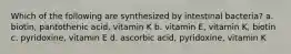 Which of the following are synthesized by intestinal bacteria? a. biotin, pantothenic acid, vitamin K b. vitamin E, vitamin K, biotin c. pyridoxine, vitamin E d. ascorbic acid, pyridoxine, vitamin K