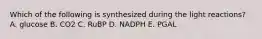 Which of the following is synthesized during the light reactions? A. glucose B. CO2 C. RuBP D. NADPH E. PGAL