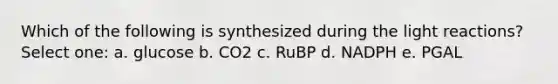 Which of the following is synthesized during the light reactions? Select one: a. glucose b. CO2 c. RuBP d. NADPH e. PGAL