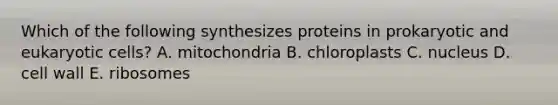 Which of the following synthesizes proteins in prokaryotic and eukaryotic cells? A. mitochondria B. chloroplasts C. nucleus D. cell wall E. ribosomes