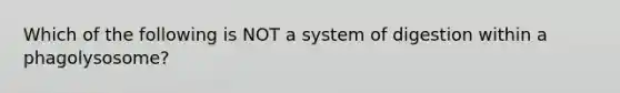 Which of the following is NOT a system of digestion within a phagolysosome?