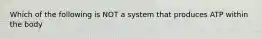 Which of the following is NOT a system that produces ATP within the body