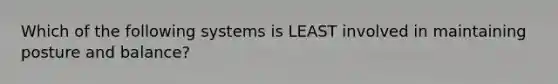Which of the following systems is LEAST involved in maintaining posture and balance?