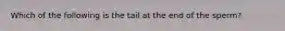 Which of the following is the tail at the end of the sperm?