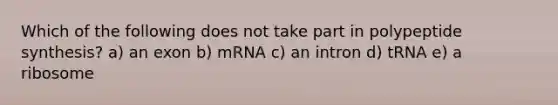 Which of the following does not take part in polypeptide synthesis? a) an exon b) mRNA c) an intron d) tRNA e) a ribosome