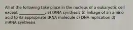 All of the following take place in the nucleus of a eukaryotic cell except ______________. a) tRNA synthesis b) linkage of an amino acid to its appropriate tRNA molecule c) DNA replication d) mRNA synthesis