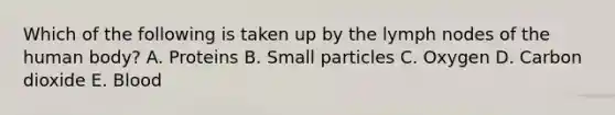 Which of the following is taken up by the lymph nodes of the human body? A. Proteins B. Small particles C. Oxygen D. Carbon dioxide E. Blood
