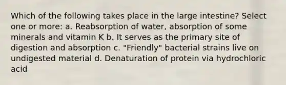 Which of the following takes place in the large intestine? Select one or more: a. Reabsorption of water, absorption of some minerals and vitamin K b. It serves as the primary site of digestion and absorption c. "Friendly" bacterial strains live on undigested material d. Denaturation of protein via hydrochloric acid