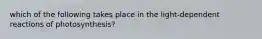 which of the following takes place in the light-dependent reactions of photosynthesis?