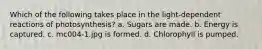 Which of the following takes place in the light-dependent reactions of photosynthesis? a. Sugars are made. b. Energy is captured. c. mc004-1.jpg is formed. d. Chlorophyll is pumped.