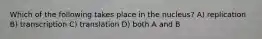 Which of the following takes place in the nucleus? A) replication B) transcription C) translation D) both A and B