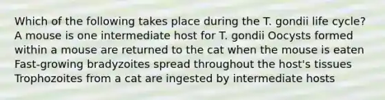 Which of the following takes place during the T. gondii life cycle? A mouse is one intermediate host for T. gondii Oocysts formed within a mouse are returned to the cat when the mouse is eaten Fast-growing bradyzoites spread throughout the host's tissues Trophozoites from a cat are ingested by intermediate hosts