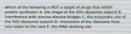 Which of the following is NOT a target of drugs that inhibit protein synthesis? A. the shape of the 30S ribosomal subunit B. interference with alanine-alanine bridges C. the enzymatic site of the 50S ribosomal subunit D. movement of the ribosome from one codon to the next E. the tRNA docking site