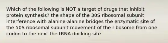 Which of the following is NOT a target of drugs that inhibit <a href='https://www.questionai.com/knowledge/kVyphSdCnD-protein-synthesis' class='anchor-knowledge'>protein synthesis</a>? the shape of the 30S ribosomal subunit interference with alanine-alanine bridges the enzymatic site of the 50S ribosomal subunit movement of the ribosome from one codon to the next the tRNA docking site