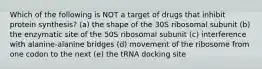 Which of the following is NOT a target of drugs that inhibit protein synthesis? (a) the shape of the 30S ribosomal subunit (b) the enzymatic site of the 50S ribosomal subunit (c) interference with alanine-alanine bridges (d) movement of the ribosome from one codon to the next (e) the tRNA docking site