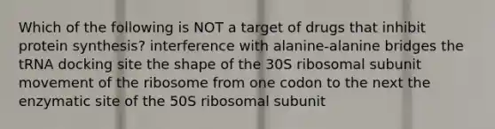 Which of the following is NOT a target of drugs that inhibit <a href='https://www.questionai.com/knowledge/kVyphSdCnD-protein-synthesis' class='anchor-knowledge'>protein synthesis</a>? interference with alanine-alanine bridges the tRNA docking site the shape of the 30S ribosomal subunit movement of the ribosome from one codon to the next the enzymatic site of the 50S ribosomal subunit