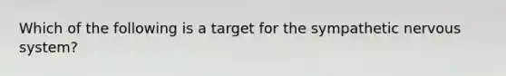 Which of the following is a target for the sympathetic nervous system?