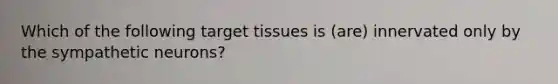 Which of the following target tissues is (are) innervated only by the sympathetic neurons?