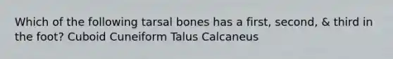 Which of the following tarsal bones has a first, second, & third in the foot? Cuboid Cuneiform Talus Calcaneus