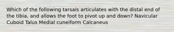 Which of the following tarsals articulates with the distal end of the tibia, and allows the foot to pivot up and down? Navicular Cuboid Talus Medial cuneiform Calcaneus