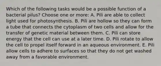 Which of the following tasks would be a possible function of a bacterial pilus? Choose one or more: A. Pili are able to collect light used for photosynthesis. B. Pili are hollow so they can form a tube that connects the cytoplasm of two cells and allow for the transfer of genetic material between them. C. Pili can store energy that the cell can use at a later time. D. Pili rotate to allow the cell to propel itself forward in an aqueous environment. E. Pili allow cells to adhere to surfaces so that they do not get washed away from a favorable environment.