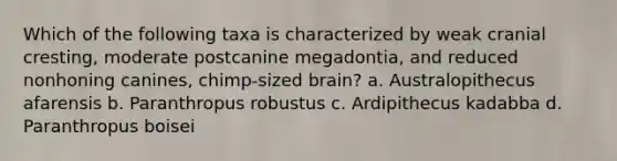 Which of the following taxa is characterized by weak cranial cresting, moderate postcanine megadontia, and reduced nonhoning canines, chimp-sized brain? a. Australopithecus afarensis b. Paranthropus robustus c. Ardipithecus kadabba d. Paranthropus boisei