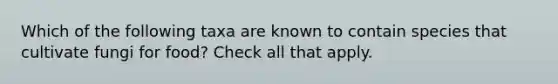 Which of the following taxa are known to contain species that cultivate fungi for food? Check all that apply.