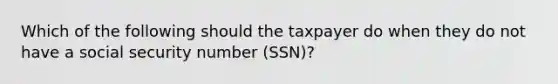 Which of the following should the taxpayer do when they do not have a social security number (SSN)?