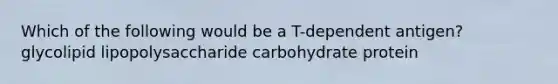 Which of the following would be a T-dependent antigen? glycolipid lipopolysaccharide carbohydrate protein