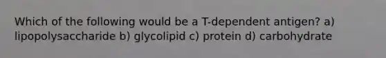 Which of the following would be a T-dependent antigen? a) lipopolysaccharide b) glycolipid c) protein d) carbohydrate